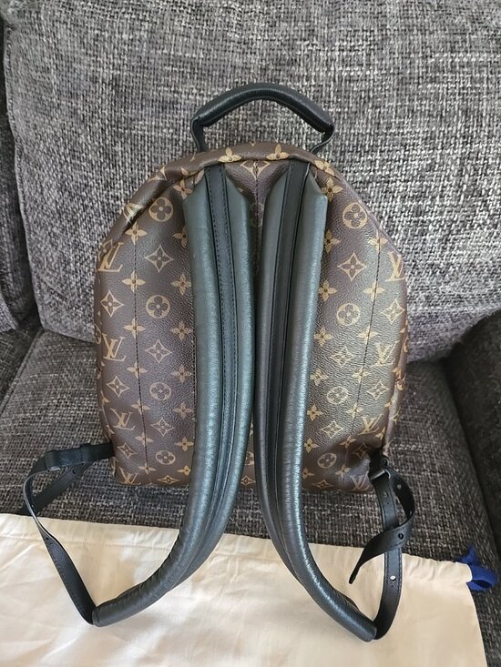 Louis-vuitton Palm Springs MM main image 11